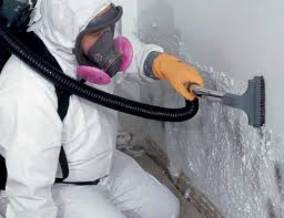 Reliable Durham, CA Mold Removal Services Solutions